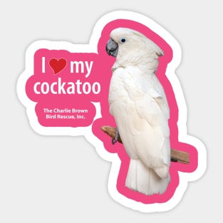 CB Moluccan Cockatoo Sticker